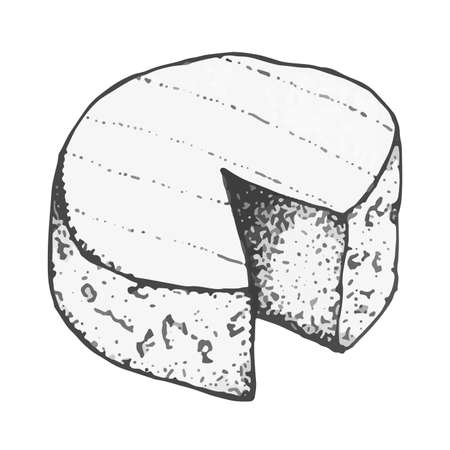 Vector clipart cheese. Hand-drawn stylized camembert cheese, brie.のイラスト素材
