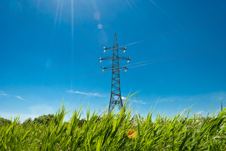 transmission line on a background of grass and skyの写真素材