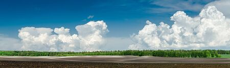 Agricultural fields. Landscape with a plowed field and clouds.の写真素材