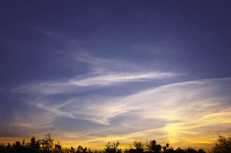 sunset background with light clouds
