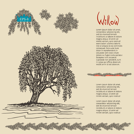 decorative Willow tree. illustration.のイラスト素材
