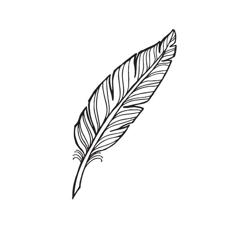 black and white feather on a white background. tattoo feather.のイラスト素材