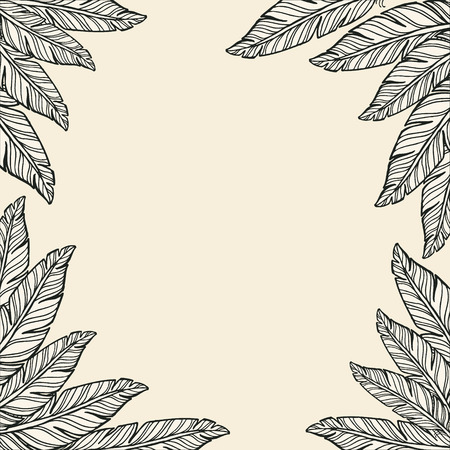 square frame template with feathersのイラスト素材