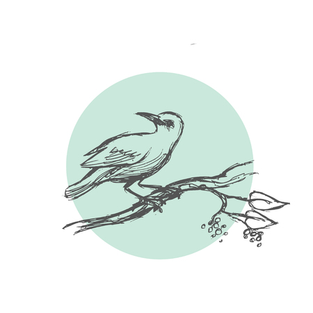 Sketch bird. Vector illustrationのイラスト素材
