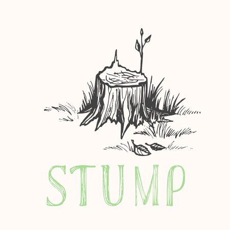 Destroyed stub of large powerful cut tree. Vector monochrome freehand ink drawn background sketching in scrawl style of pen on paper with letteringのイラスト素材
