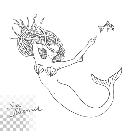 Sketch of a beautiful mermaid isolate on a transparent backgroundのイラスト素材