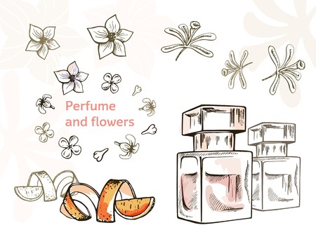 Hand drawn vector illustrations - perfume bottle and flowers. Vector design elements.のイラスト素材