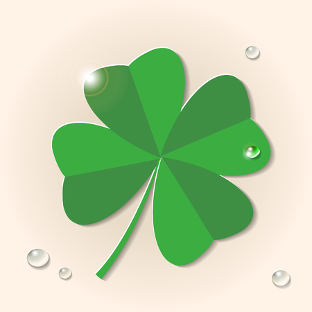 Green four leaf clover with water drops on beige background, vector illustrationのイラスト素材