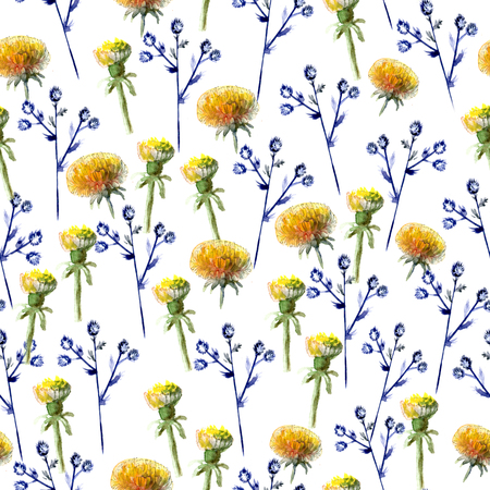 Seamless pattern of watercolor yellow dandelions and blue prickly eryngium on white backgroundの写真素材