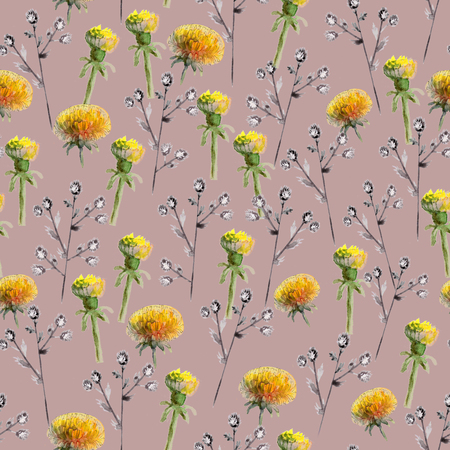 Seamless pattern of watercolor yellow dandelions and blue prickly eryngium on dark pink backgroundの写真素材