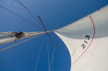 Snow-white sails against a clean bright blue sky on a sunny summer day