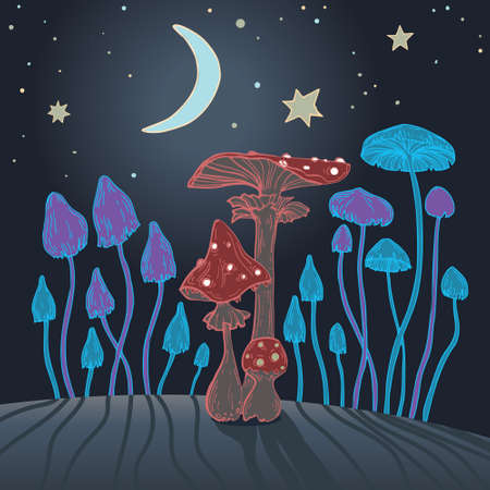 toadstool Mushrooms card template, vector illustrationのイラスト素材