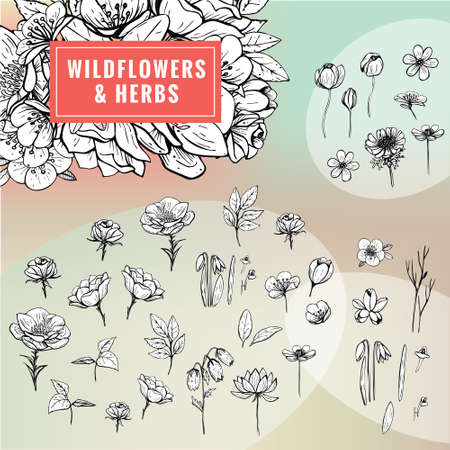 Black and white clipart of wild flowers and herbsのイラスト素材
