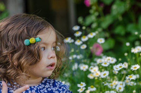 The face of a charming little girl against the background of daisiesの写真素材