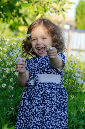 A little girl in a blue dress stretches her arms forward with a chamomile flower.の写真素材