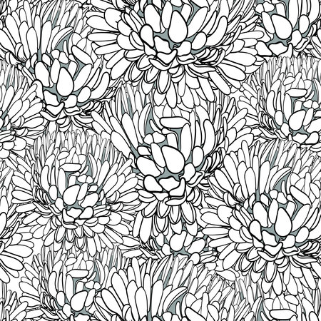 Vector seamless ornament made of painted asters. Gray scale ink drawing.のイラスト素材