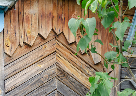 Background image with a fragment of a wooden Russian hut and lilac leavesの写真素材