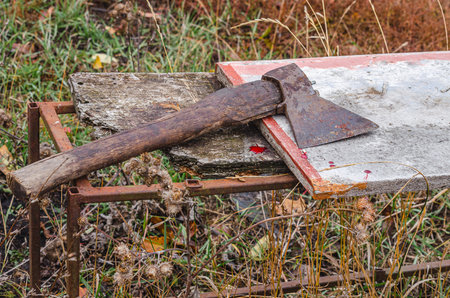 Old rusty ax on an old wooden bench in the autumn forest.の写真素材