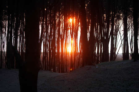 Hide and Seekの写真素材