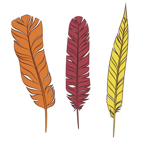 Plumage. Set of colorful feathers isolated on a white background.のイラスト素材