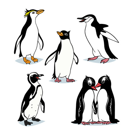 Cute cartoon penguins of different types.のイラスト素材