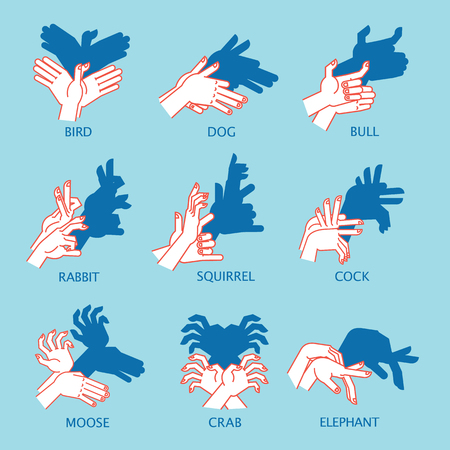 Shadow Theater. Hands gesture like flying bird. Vector illustration of Shadow Hand Puppet.のイラスト素材