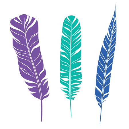 Elegant feathers set. Silhouette of three plumes different colors.のイラスト素材