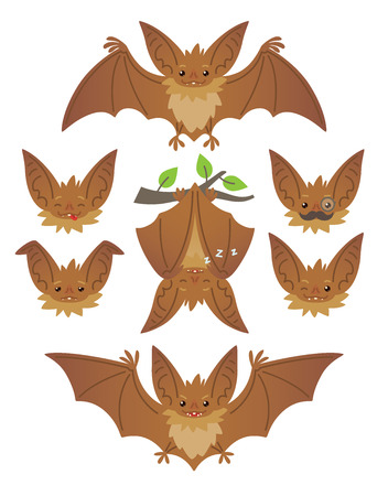 Bat in various poses. Flying, hanging. Brown bat-eared snouts with different emotions.のイラスト素材