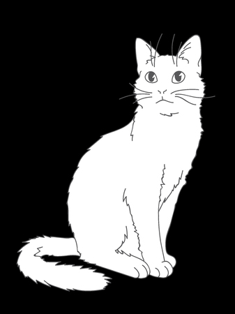 Cute realistic cat sitting. Vector illustration of kitty looking up. Grey lines, white figure on black background. Element for your design, print, sticker. Fluffy white cat in simple sketch style. Line art with fill.のイラスト素材