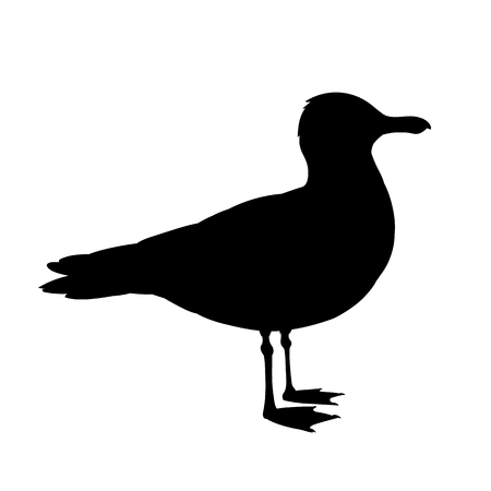 Standing seagull silhouette. Vector illustration in monochrome style on white background. Element for your design. Bird black shape. European Herring Gullのイラスト素材