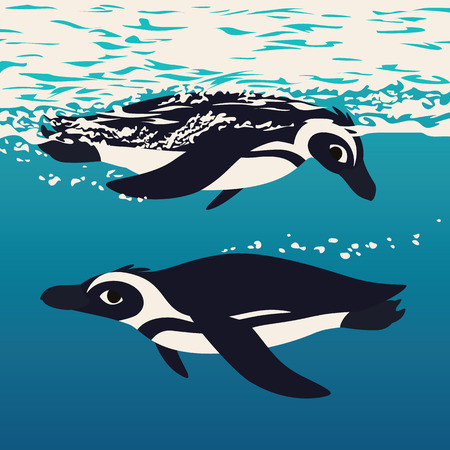 Two penguins floating in the sea water. Antarctic birds swimming in ocean, looking to each other. Vector illustration of cute african penguins underwater in flat cartoon style on blue background. Scene from marine life.のイラスト素材