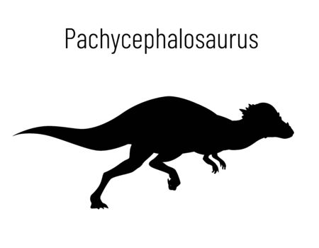 Pachycephalosaurus. Ornithischian dinosaur. Monochrome vector illustration of silhouette of prehistoric creature pachycephalosaurus isolated on white background. Stencil. Huge fossil dinosaur.のイラスト素材