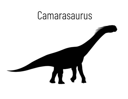 Camarasaurus. Sauropodomorpha dinosaur. Monochrome vector illustration of silhouette of prehistoric creature camarasaurus isolated on white background. Stencil. Huge fossil dinosaurのイラスト素材