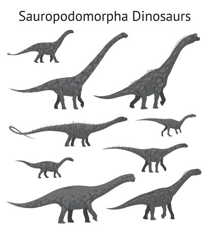 Set of sauropodomorpha dinosaurs. Monochrome vector illustration of dinosaurs isolated on white background. Side view. Sauropods. Proportional dimensions. Element for your desing, blog, journal.のイラスト素材