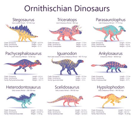 Ornithischian dinosaurs. Set of ancient creatures with information of size, weigh, classification and period of living. Colorful vector illustration of dinosaurs isolated on white background.のイラスト素材