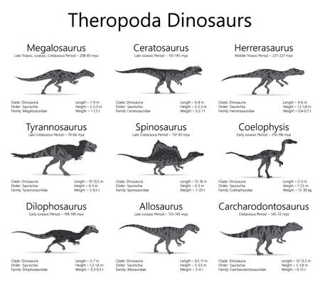 Theropoda dinosaurs. Monochrome vector illustration of dinosaurs isolated on white background. Set of ancient creatures with information of size, weigh, classification and period of livingのイラスト素材