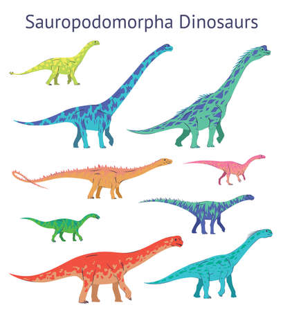 Set of sauropodomorpha dinosaurs. Colorful vector illustration of dinosaurs isolated on white background. Side view. Sauropods. Proportional dimensions. Element for your desing, blog, journalのイラスト素材