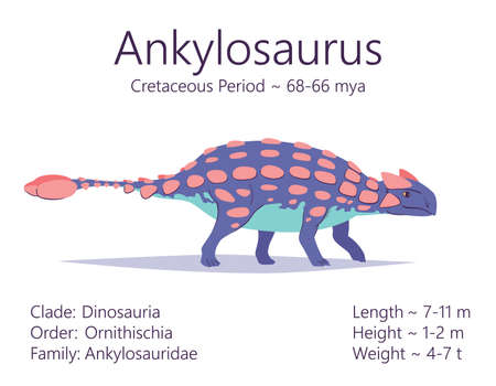 Ankylosaurus. Ornithischian dinosaur. Colorful vector illustration of prehistoric creature ankylosaurus and description of characteristics and period of life isolated on white background. Fossil dino.のイラスト素材