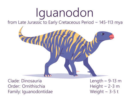 Iguanodon. Ornithischian dinosaur. Colorful vector illustration of prehistoric creature iguanodon and description of characteristics and period of life isolated on white background. Fossil dino.のイラスト素材