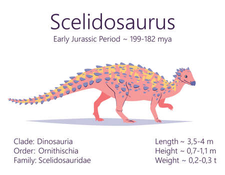 Scelidosaurus. Ornithischian dinosaur. Colorful vector illustration of prehistoric creature scelidosaurus and description of characteristics, period of life isolated on white background. Fossil dino.のイラスト素材