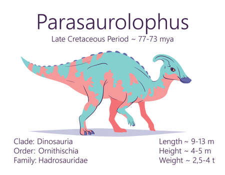 Parasaurolophus. Ornithischian dinosaur. Colorful vector illustration of prehistoric creature parasaurolophus and description of characteristics and period of life isolated on white background. Dino.のイラスト素材