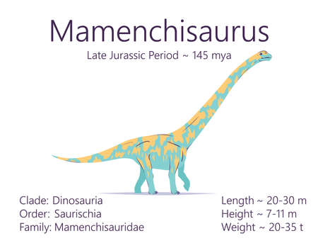 Mamenchisaurus. Sauropodomorpha dinosaur. Colorful vector illustration of prehistoric creature mamenchisaurus, description of characteristics, period of life isolated on white background. Fossil dino.のイラスト素材