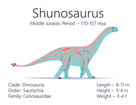 Shunosaurus. Sauropodomorpha dinosaur. Colorful vector illustration of prehistoric creature shunosaurus and description of characteristics and period of life isolated on white background. Fossil dinoのイラスト素材