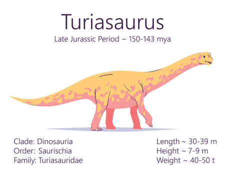 Turiasaurus. Sauropodomorpha dinosaur. Colorful vector illustration of prehistoric creature turiasaurus and description of characteristics and period of life isolated on white background. Fossil dino.のイラスト素材