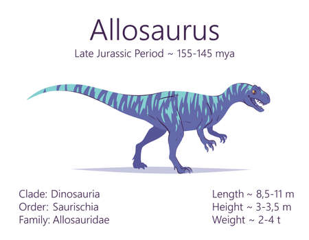 Allosaurus. Theropoda dinosaur. Colorful vector illustration of prehistoric creature allosaurus and description of characteristics and period of life isolated on white background. Fossil dino.のイラスト素材