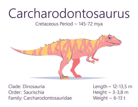 Carcharodontosaurus. Theropoda dinosaur. Colorful vector illustration of prehistoric creature carcharodontosaurus and description of characteristics and period of life isolated on white backgroundのイラスト素材