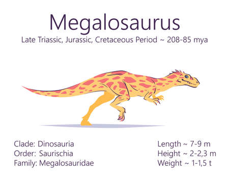Megalosaurus. Theropoda dinosaur. Colorful vector illustration of prehistoric creature megalosaurus and description of characteristics and period of life isolated on white background. Fossil dino.のイラスト素材
