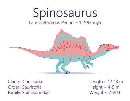 Spinosaurus. Theropoda dinosaur. Colorful vector illustration of prehistoric creature spinosaurus and description of characteristics and period of life isolated on white background. Fossil dino.のイラスト素材