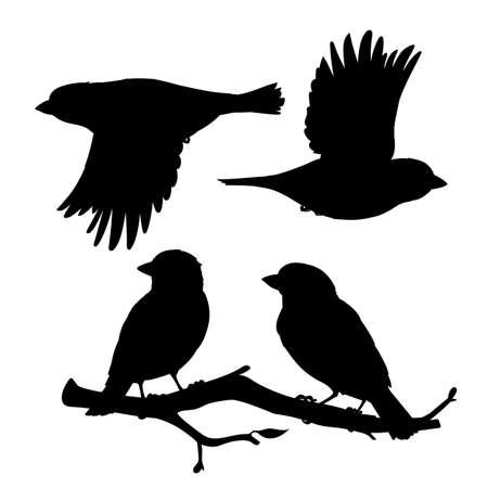 Set of realistic sparrows sitting and flying. Monochrome vector illustration of black silhouettes of little birds sparrows isolated on white background. Stencil. Element for your design, print.のイラスト素材