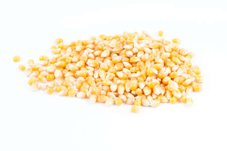 Corn isolated on white background close upの写真素材